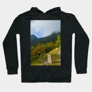 Autumn on the Slopes of Mangrt Hoodie